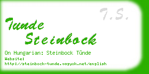 tunde steinbock business card
